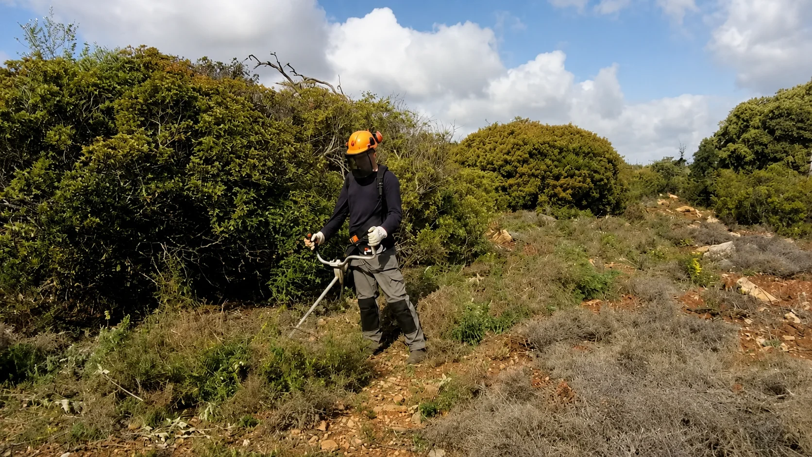 Limpeza de Terrenos — Algarve